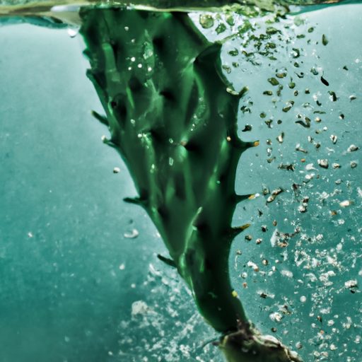 a cactus gasping for air underwater phot 512x512 98927773