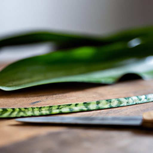 a close up of a healthy snake plant leaf 512x512 32456414