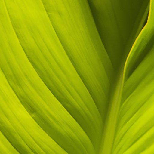 a close up of a vibrant healthy plant le 512x512 38746315