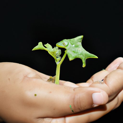 a hand holding a tiny seedling photoreal 512x512 8162803