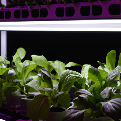 a hydroponic garden with led lights phot 512x512 82751177