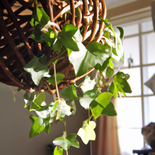 a lush english ivy plant cascading from 512x512 3146803