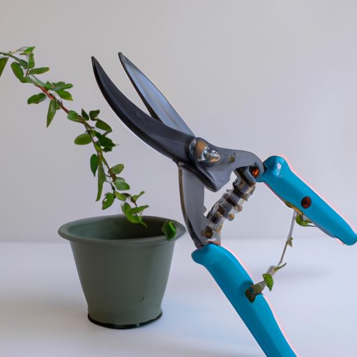 a pair of gardening scissors trimming a 512x512 2743451