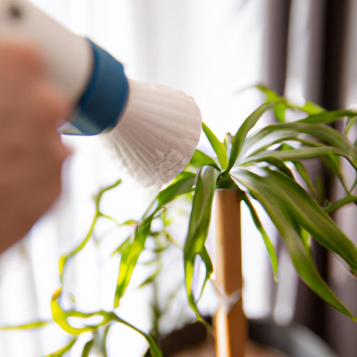 a person watering healthy houseplants ph 512x512 1737926