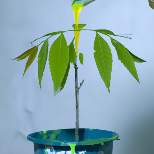 a plant being protected by neem oil phot 512x512 78568584