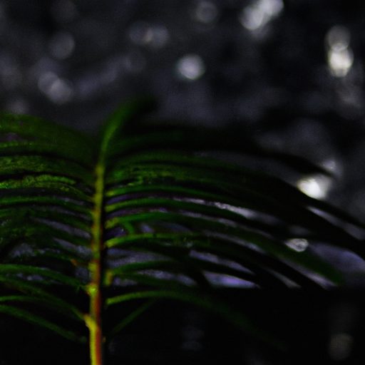 a plant reaching towards different light 512x512 53295636