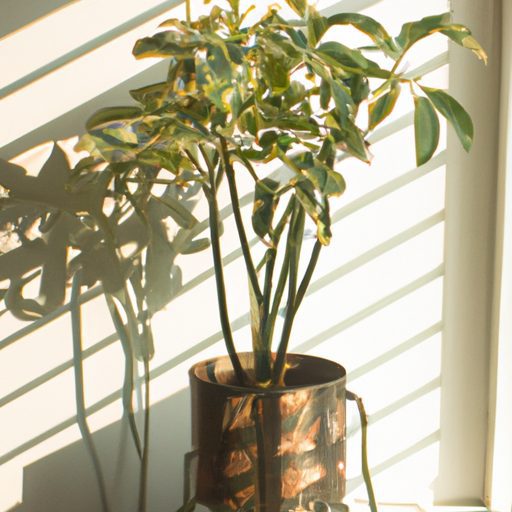 a potted plant on a stand in front of a 512x512 25962529