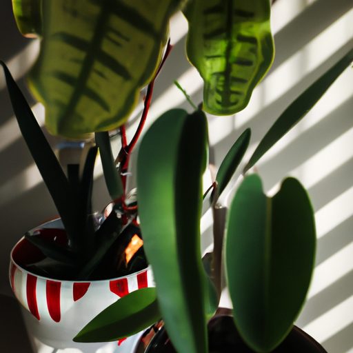 a variety of houseplants basking in sunl 512x512 69822490