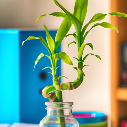 a vibrant bamboo plant thriving in a cer 512x512 89069900