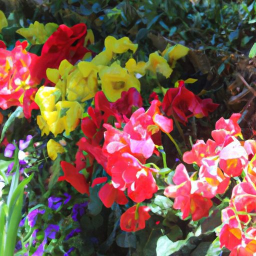 a vibrant garden full of blooming flower 512x512 31654363