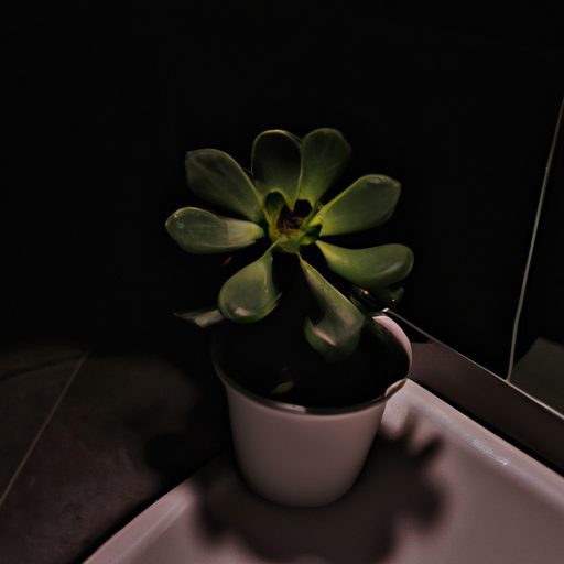 a vibrant green succulent with thick fle 512x512 69898508
