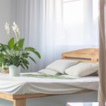 air purifier plants for bedroom 2