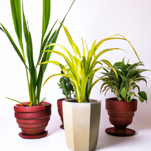 assorted ceramic pots with vibrant plant 512x512 26966451