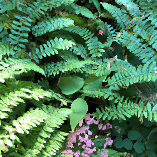 green ferns and pink flowers contrast ph 512x512 72498945