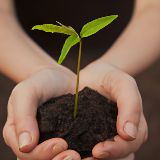 hands holding a plant seedling photoreal 512x512 75847583