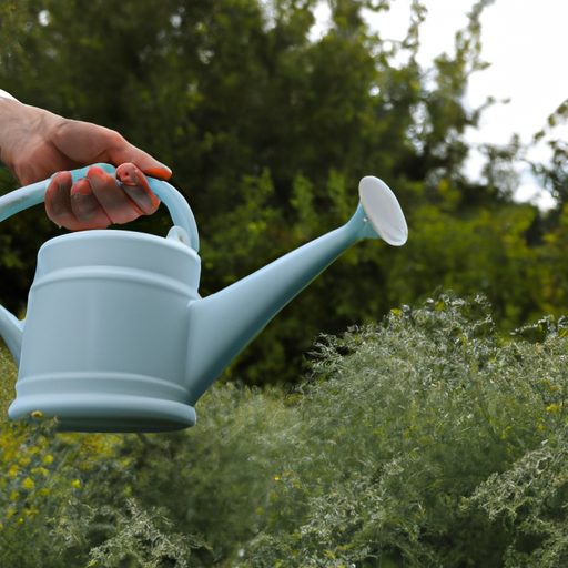 hands holding watering can over plants p 512x512 42782599