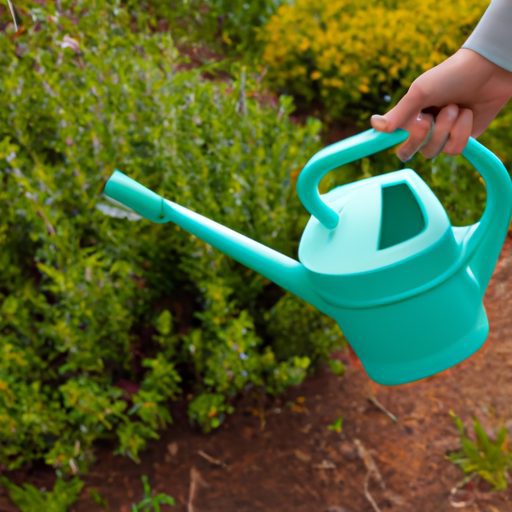 hands holding watering can over plants p 512x512 48136349