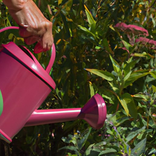 hands holding watering can over plants p 512x512 71755411