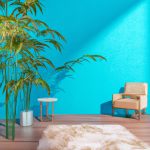 indoor plants that thrive in direct sunlight 3