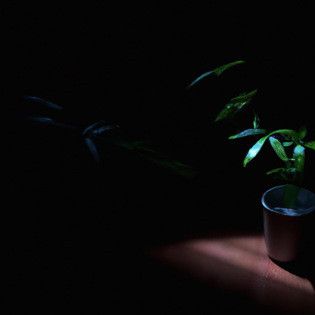 innenpflanzen die minimales licht benotigen 3