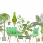 pros and cons of indoor plants 1