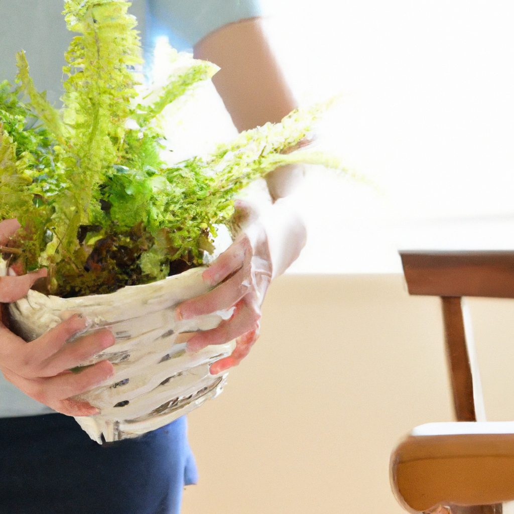 transitioning indoor plants outdoors for summer 4