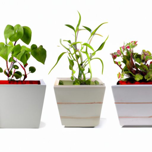 variety of stylish plant pots available 512x512 92426845