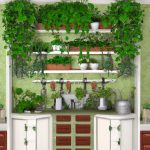 20 best kitchen plants that will brighten your space in an instant 3
