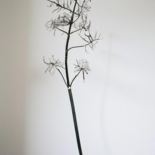 a black plant standing tall showcasing e 512x512 30329031