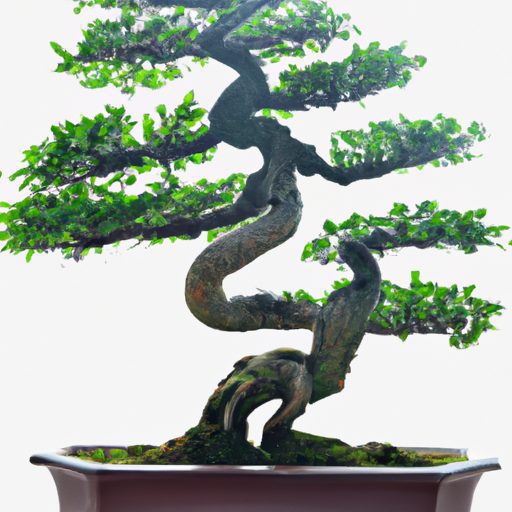 a bonsai tree with gracefully curved bra 512x512 14886003