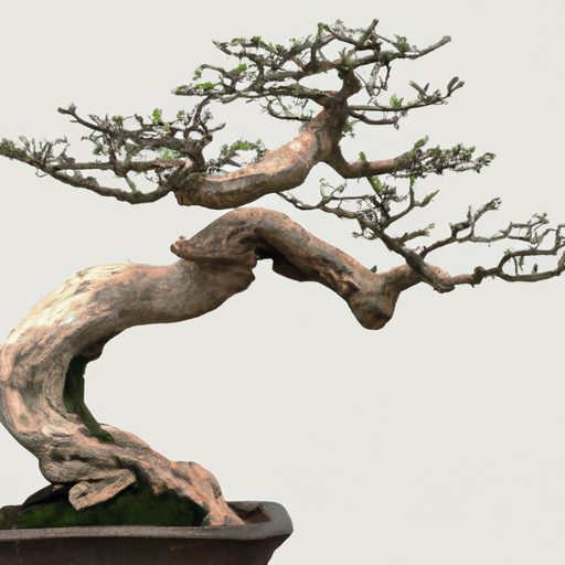a bonsai tree with intricate weathered b 512x512 42973092