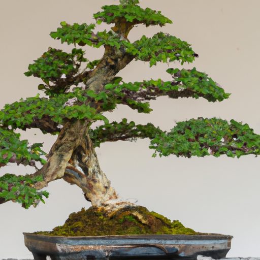 a bonsai tree with multiple layers and g 512x512 44684896