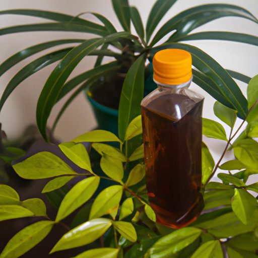 a bottle of neem oil solution surrounded 512x512 75823323