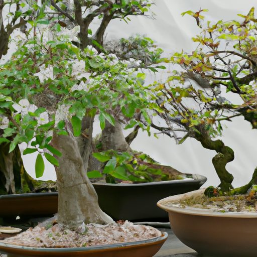 a captivating bonsai forest in bloom pho 512x512 92849465