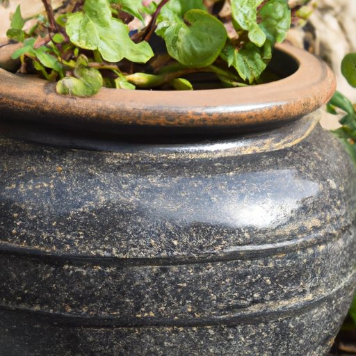 a ceramic pot surrounded by lush green p 512x512 85168143