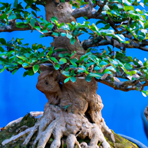a close up image of a bonsai tree with m 512x512 83735218