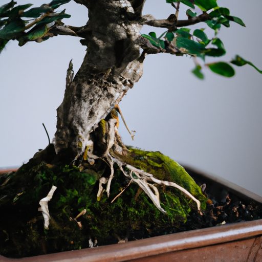 a close up of a bonsai tree in a perfect 512x512 34860800