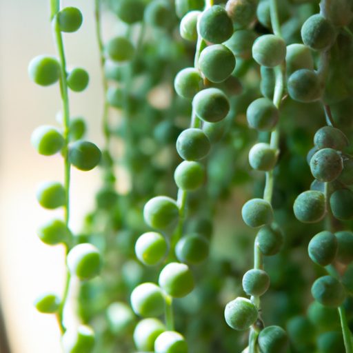 a close up of a hanging string of pearls 512x512 86465026