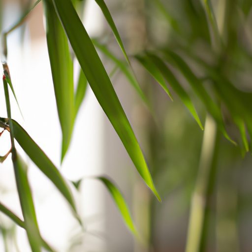 a close up of a lush green bamboo palm w 512x512 76891741