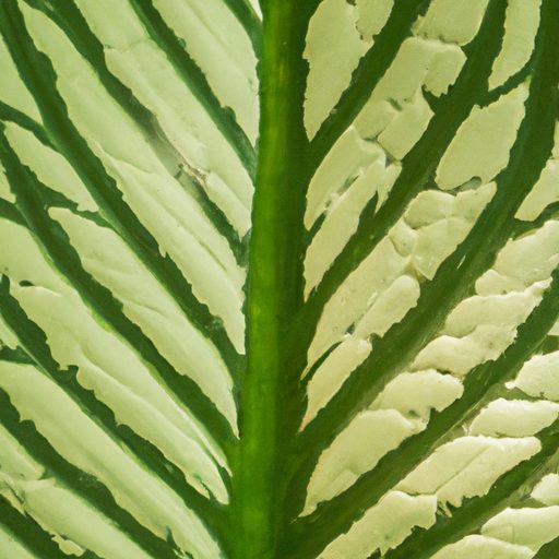 a close up of a vibrant green leaf with 512x512 9528454