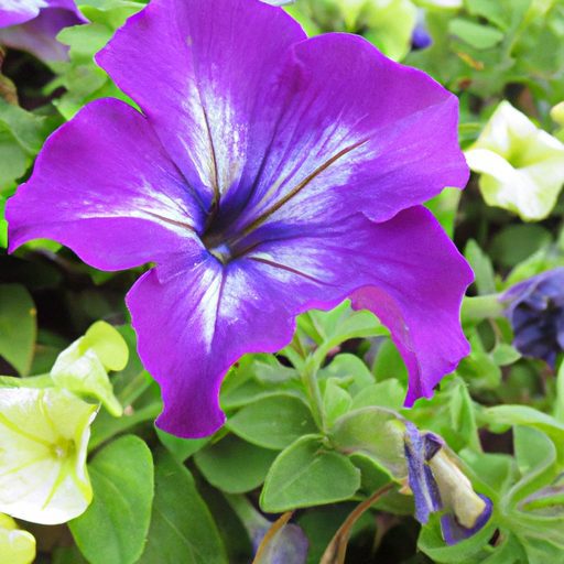 Best Purple Petunia Varieties