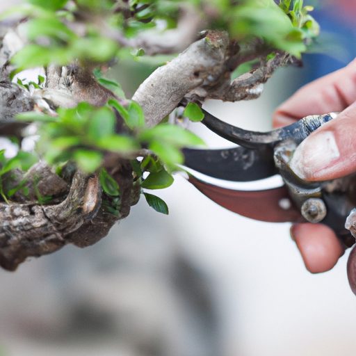 a close up of pruning shears cutting a s 512x512 17784824