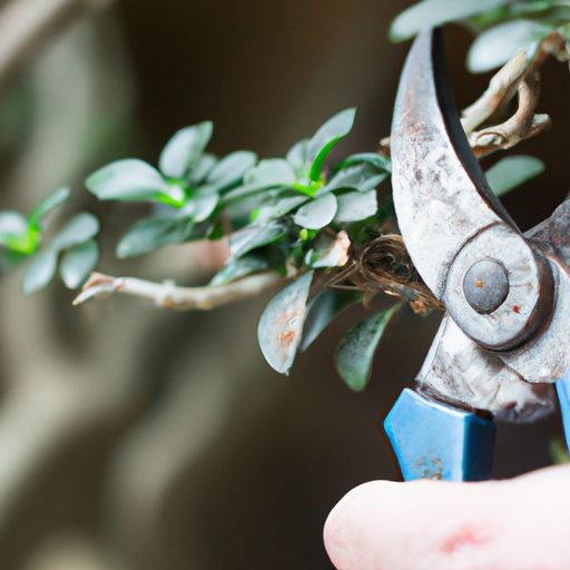 a close up of pruning shears cutting a s 512x512 1918365