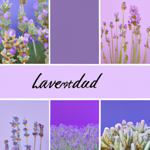 a collage of five different lavender pla 512x512 87652194