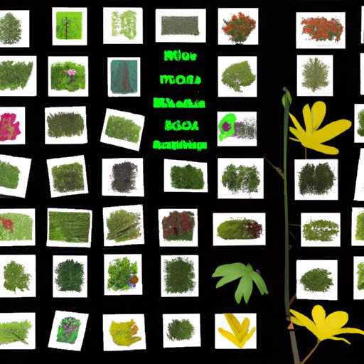 a collage of labeled and organized plant 512x512 69215194