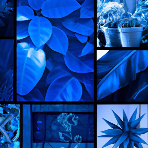 Blue Indoor Plants