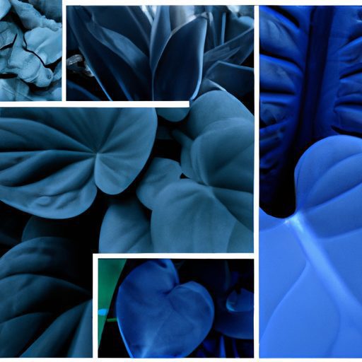 a collage of various blue indoor plants 512x512 2596423