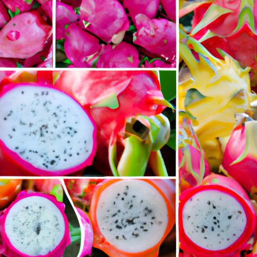 How To Grow Dragon Fruit – Both Indoors And Outside