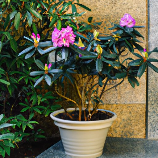 a colorful rhododendron indicum plant in 512x512 7222397