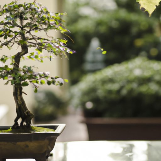 a delicate bonsai tree amidst a serene z 512x512 16675682